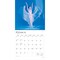 Ballet | 2026 12 x 24 Inch (Hanging) Monthly Square Wall Calendar | Foil Stamped Cover | Plastic-Free